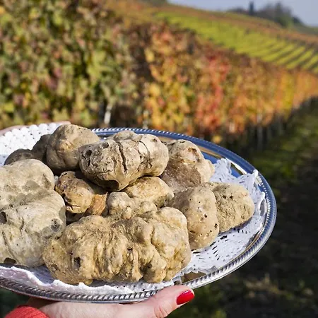 Bilo Stallelunghe 5 * Frabosa Sottana